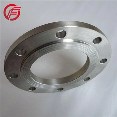 Gr2 Titanium PL flange for sale